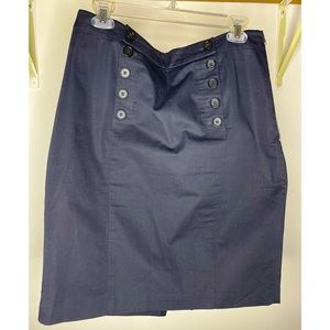 Ann Taylor Skirt